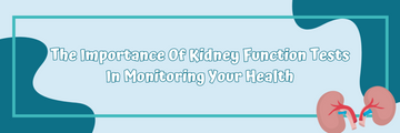The Importance Of Kidney Function Tests In Monitoring Your Health
