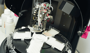 Why We Check for IgG4 in Food Sensitivity Testing